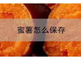 蜜红薯怎么保存时间长